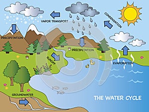 Water cycle