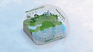 Water cycle 3d model showing Transpiration Precipitation Evaporation