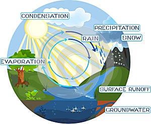 The water cycle