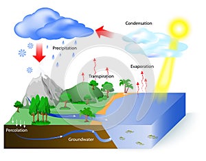 Water cycle