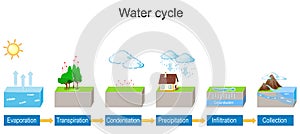 Water cycle. detailed explanation infographic