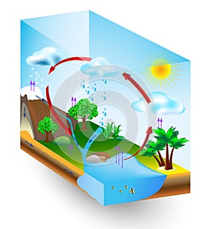 Water cycle. nature. Vector diagram