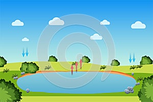 Water cycle process with a pond and blue sky. Evaporation, condensation, and precipitation process infographic diagram for the