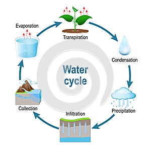 Water cycle. Schematic vector diagram photo