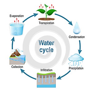 Water cycle. Schematic vector diagram
