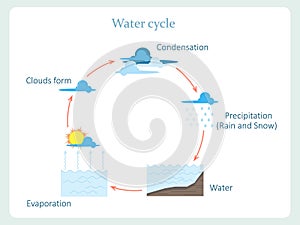 Water cycle scheme for kids education