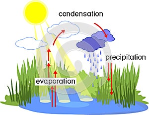 Water cycle. Scheme with water cycle evaporation, precipitation, condensation in nature for school lessons