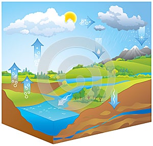 Water Cycle. Vector diagram