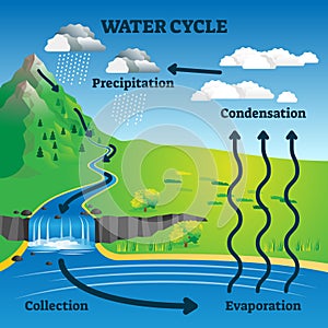 Water cycle vector illustration. Labeled earth hydrologic process explanation