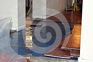 Water Damage in Room of Home