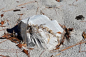 Acqua danneggiato un libro sul Spiaggia 