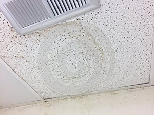 Water Damaged Ceiling Tiles