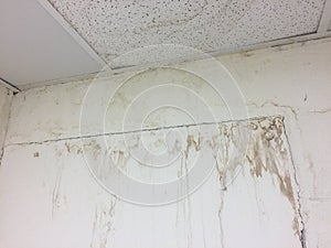 Water Damaged Ceiling Tiles and Drywall