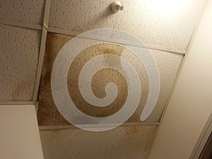 Water Damaged Ceiling Tiles photo
