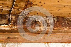 Water damaged ceiling and wall