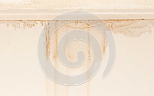 Water damaged ceiling and wall