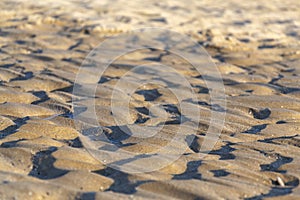 Water disappearing in sand on the beach, global warming, water shortage scarcity concept