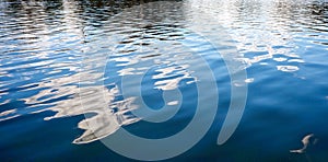 Water With Distorted Reflections of Clouds and Shore