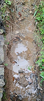 water ditches in the countryside