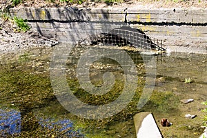 Water drain in canal. Green algae in water surface.  Environmental pollution