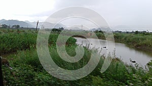 Water drainage channel in between grass fields