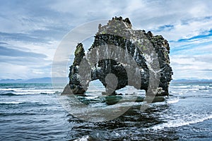 Water drinking animal shaped lava formation in Huna bay, on northern Iceland