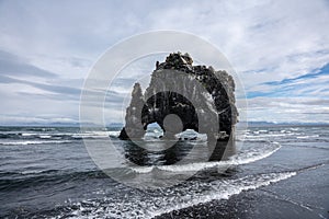 Water drinking lava dragon in Huna bay Northern Iceland