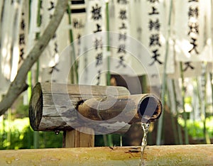 Water dripping from a bamboo fountain in a Japanese shrine