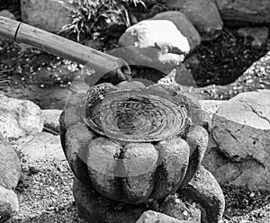 Water dripping through a bamboo pipe into an ornamental stone pot