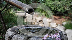 Water dripping out of bamboo fountain in Japanese style garden, closeup