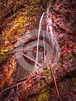 Water dripping on a rock wall in the forest