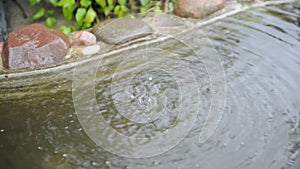 Water Dripping from the Roof Eave into the Pond