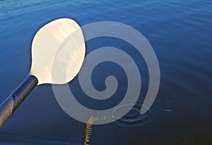 Water Drips Off Paddle into Water of the Pond