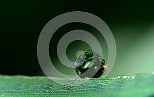 Water drop