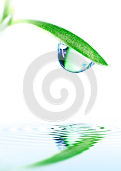 Water drop