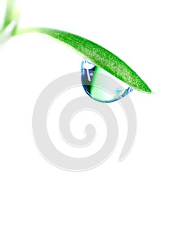 Water drop