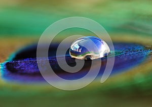 Water drop photo