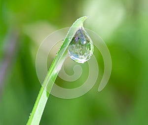 Water-drop on blade