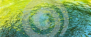 Water drop and bubbles in a cool green water fountain