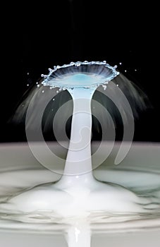 Water Drop Collision