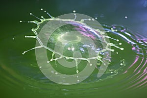 Water Drop Collision