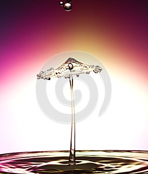 Water drop collision