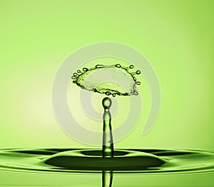 Water Drop Collisions Macro Photography with green  background