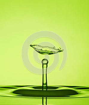 Water Drop Collisions Macro Photography with green  background