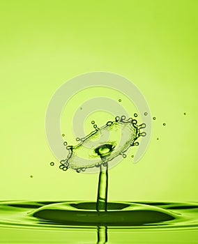 Water Drop Collisions Macro Photography with green  background photo