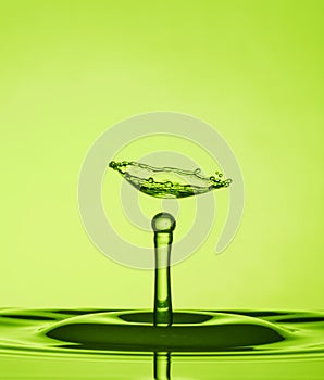 Water Drop Collisions Macro Photography with green  background photo