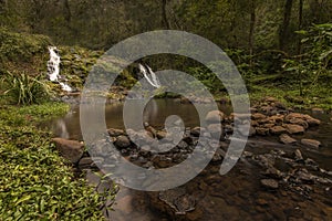 Water drop in El Soberbio between the jungle forest in Misiones, Argentina