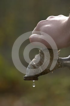 Water drop falling after closing the tap