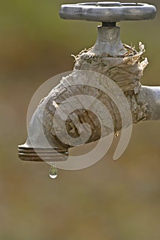 Water drop falling after closing the tap