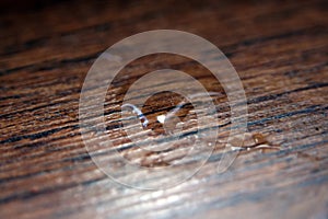 Water drop on a floor. Drop on a wooden floor.